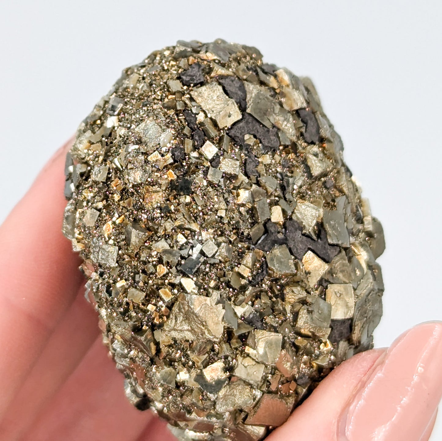 Pyrite Nodule P