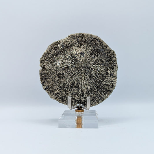 Pyrite Sun I