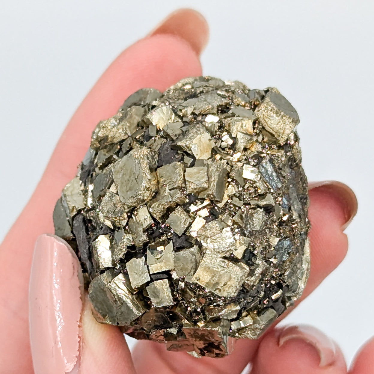 Pyrite Nodule D