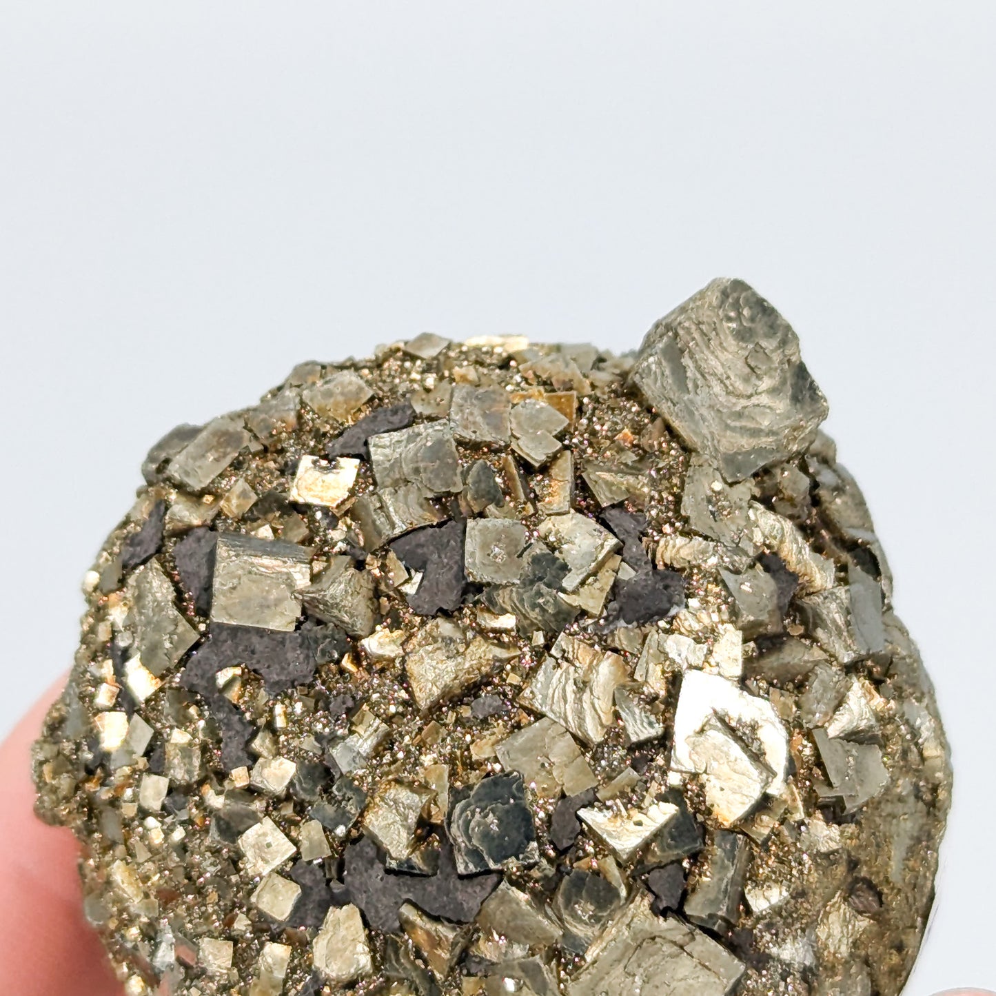 Pyrite Nodule P