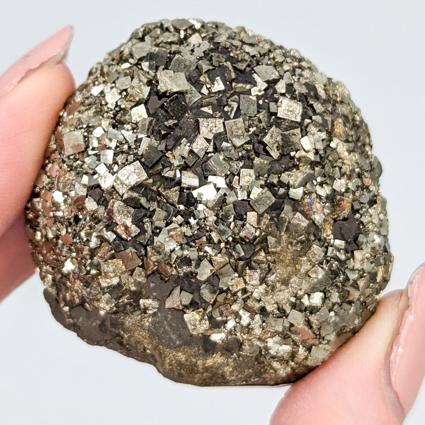 Pyrite Nodule N