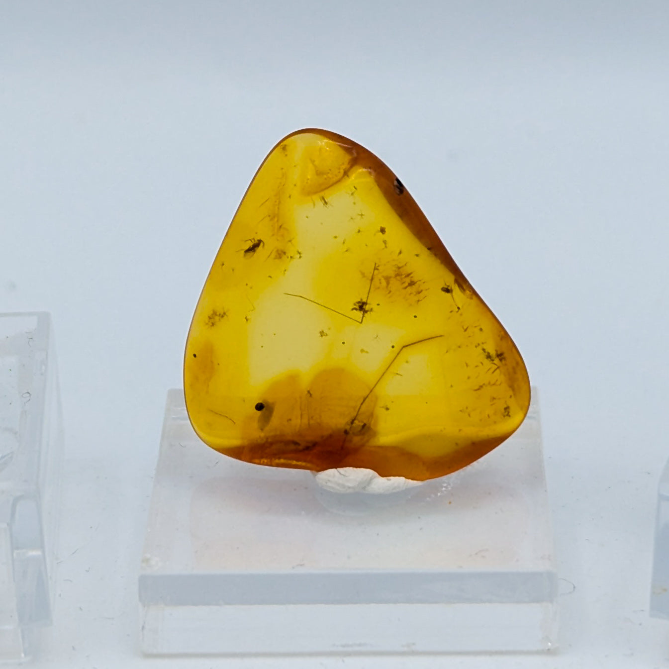 Amber with Insect Inclusions (Intuitively Selected)