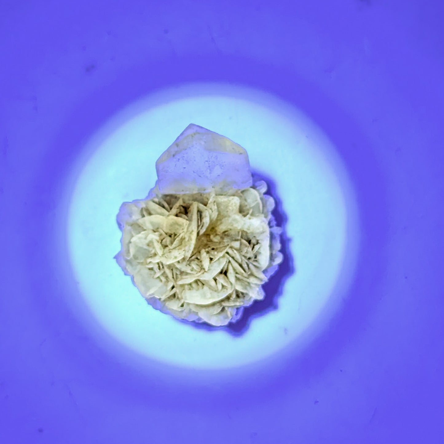 Gypsum Selenite Fluorescent F