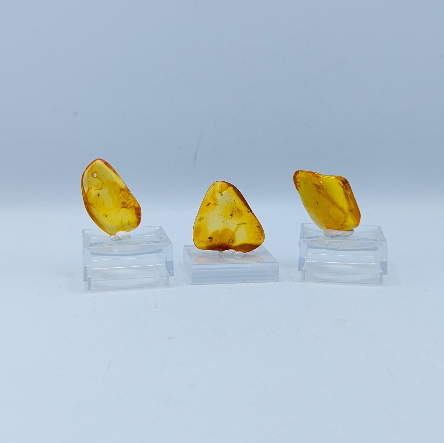 Amber with Insect Inclusions (Intuitively Selected)