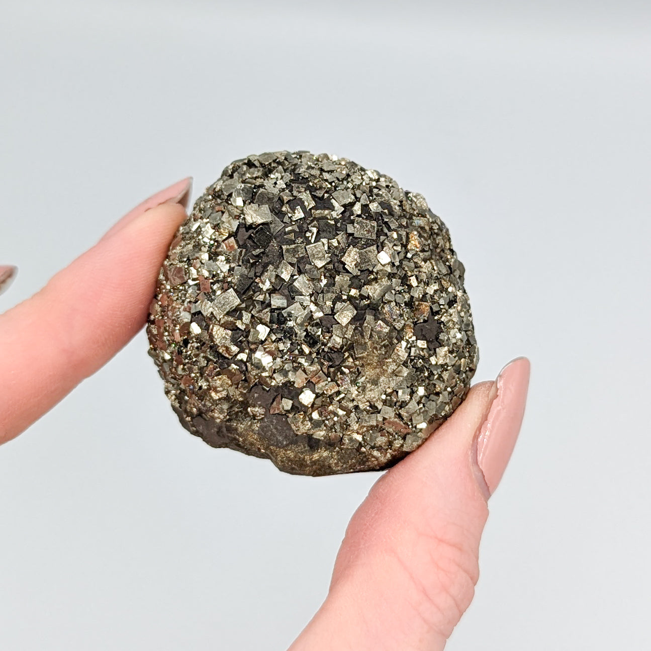 Pyrite Nodule N