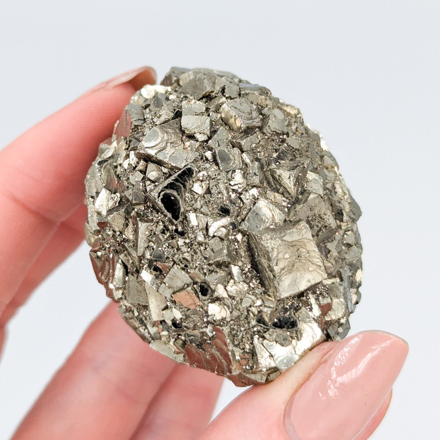 Pyrite Nodule L