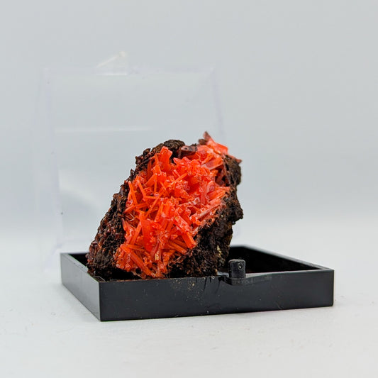 Crocoite Specimen B