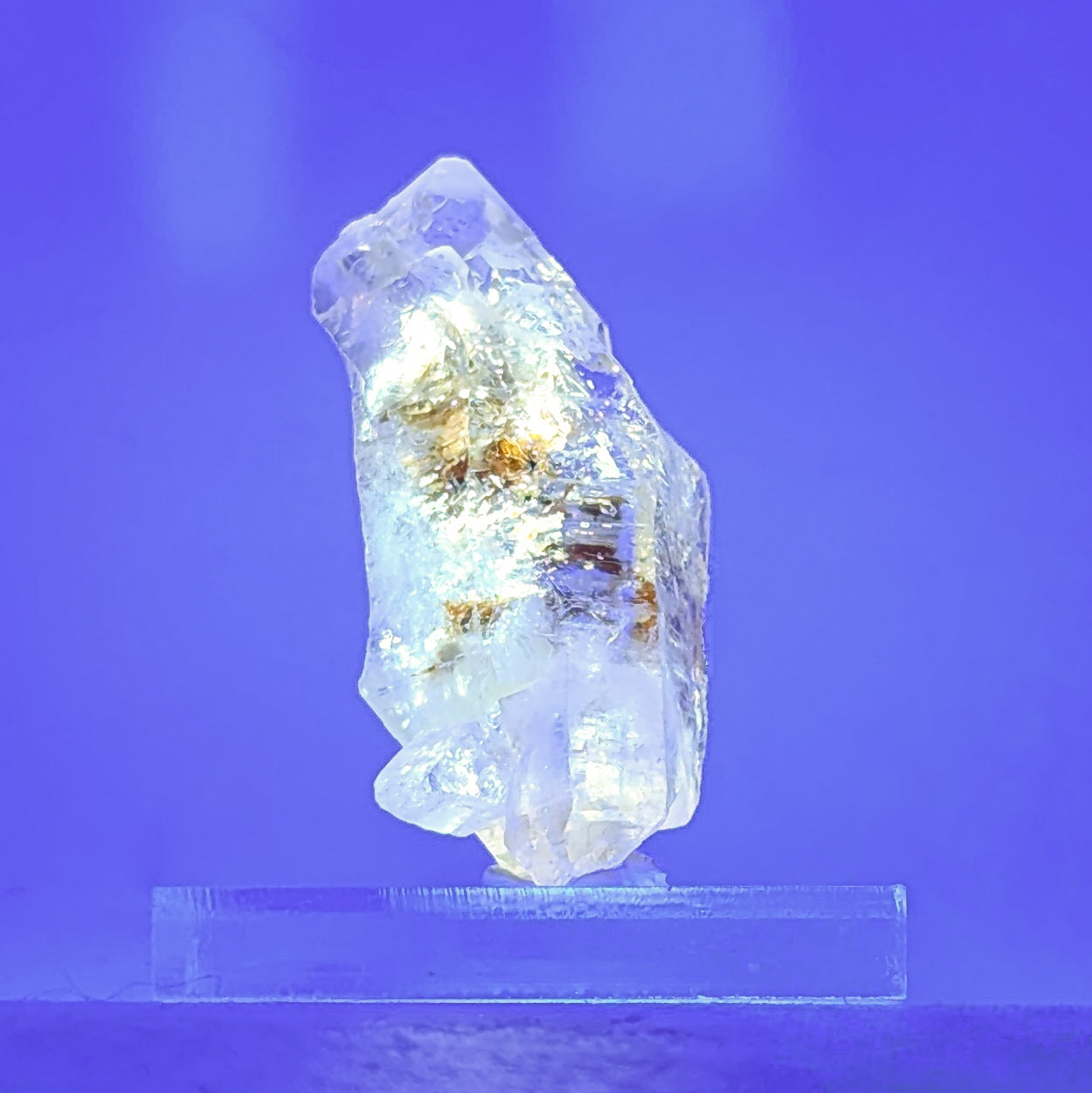 Firefly Petroleum Quartz E