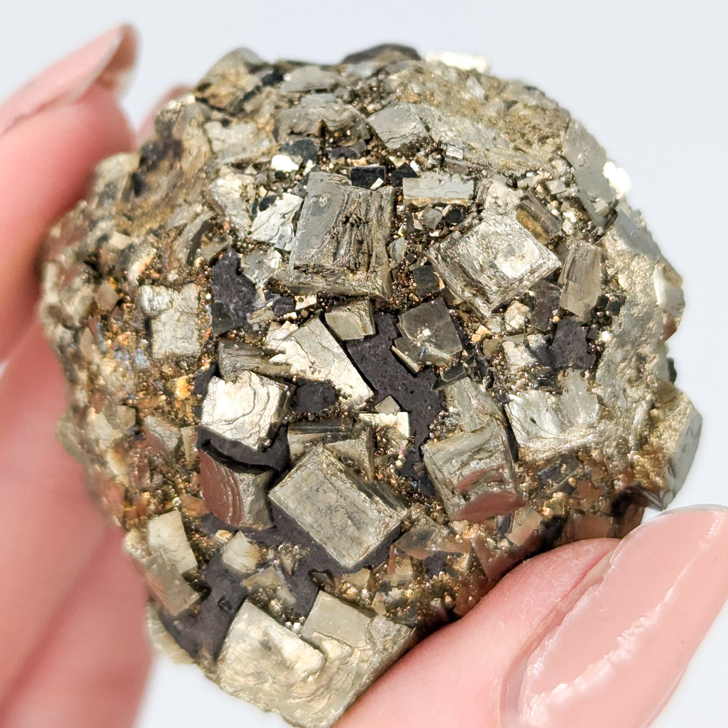 Pyrite Nodule M