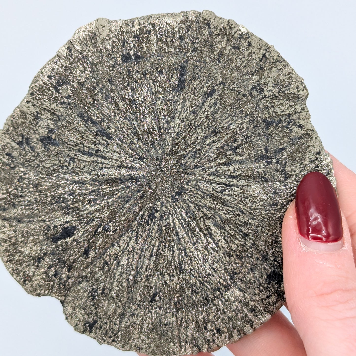 Pyrite Sun I