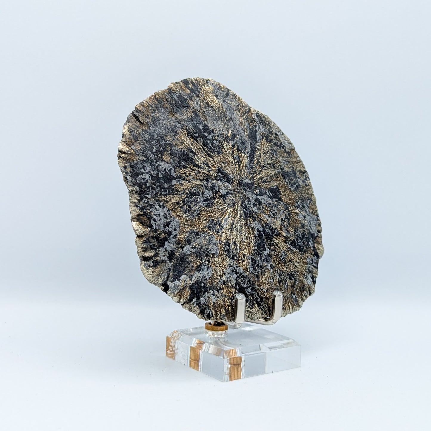 Pyrite Sun M