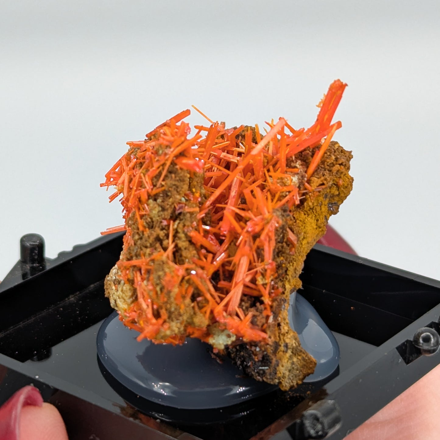 Crocoite Specimen A