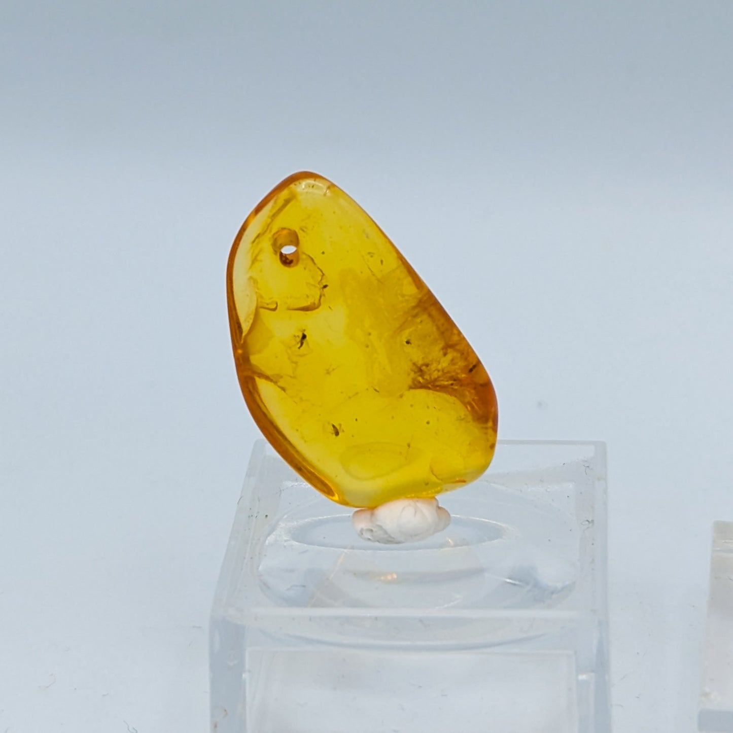 Amber with Insect Inclusions (Intuitively Selected)